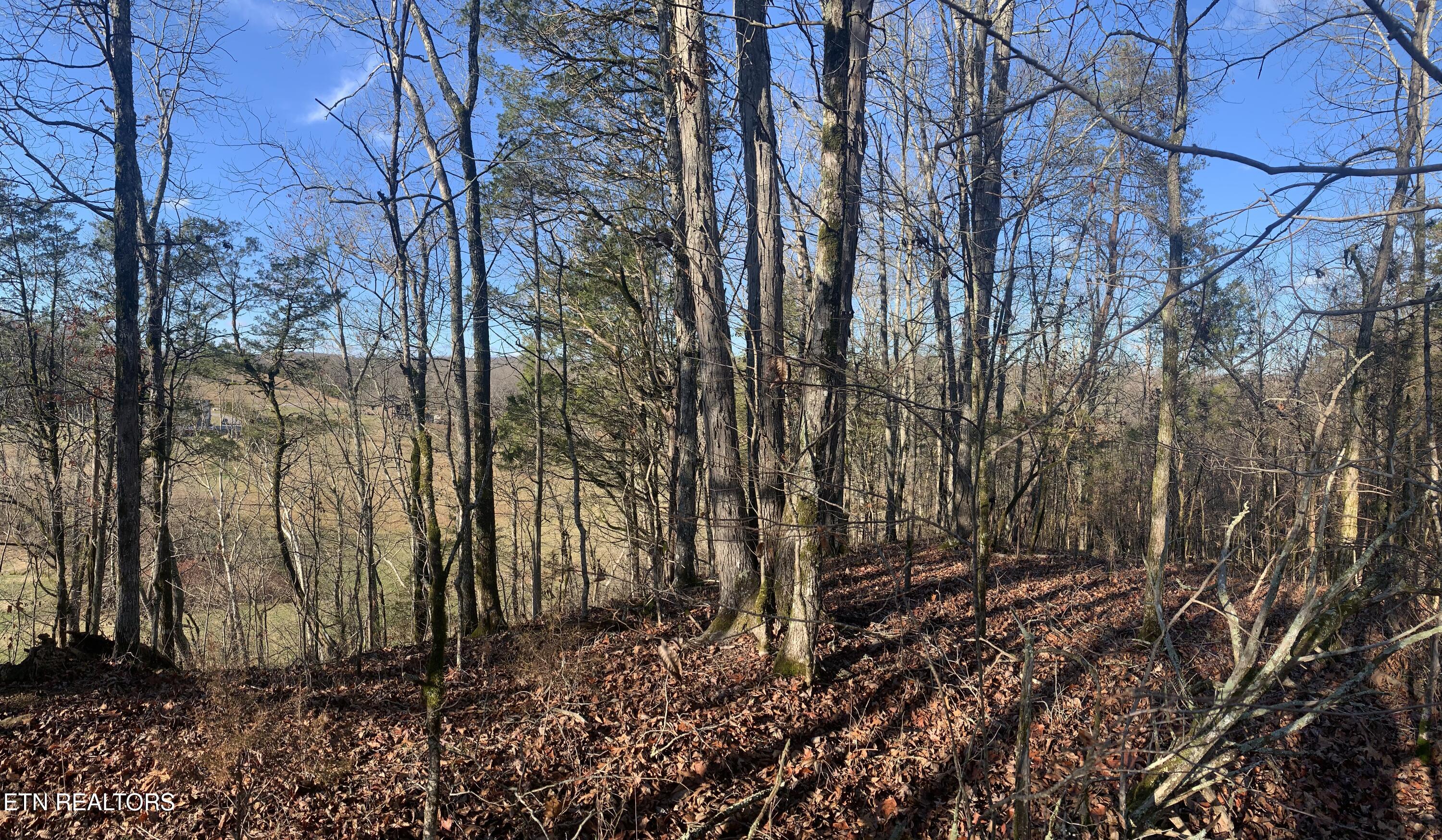 420 Winding Ridge Trail Seymour, TN 37865 - Photo 8 of 12 IMG_0812