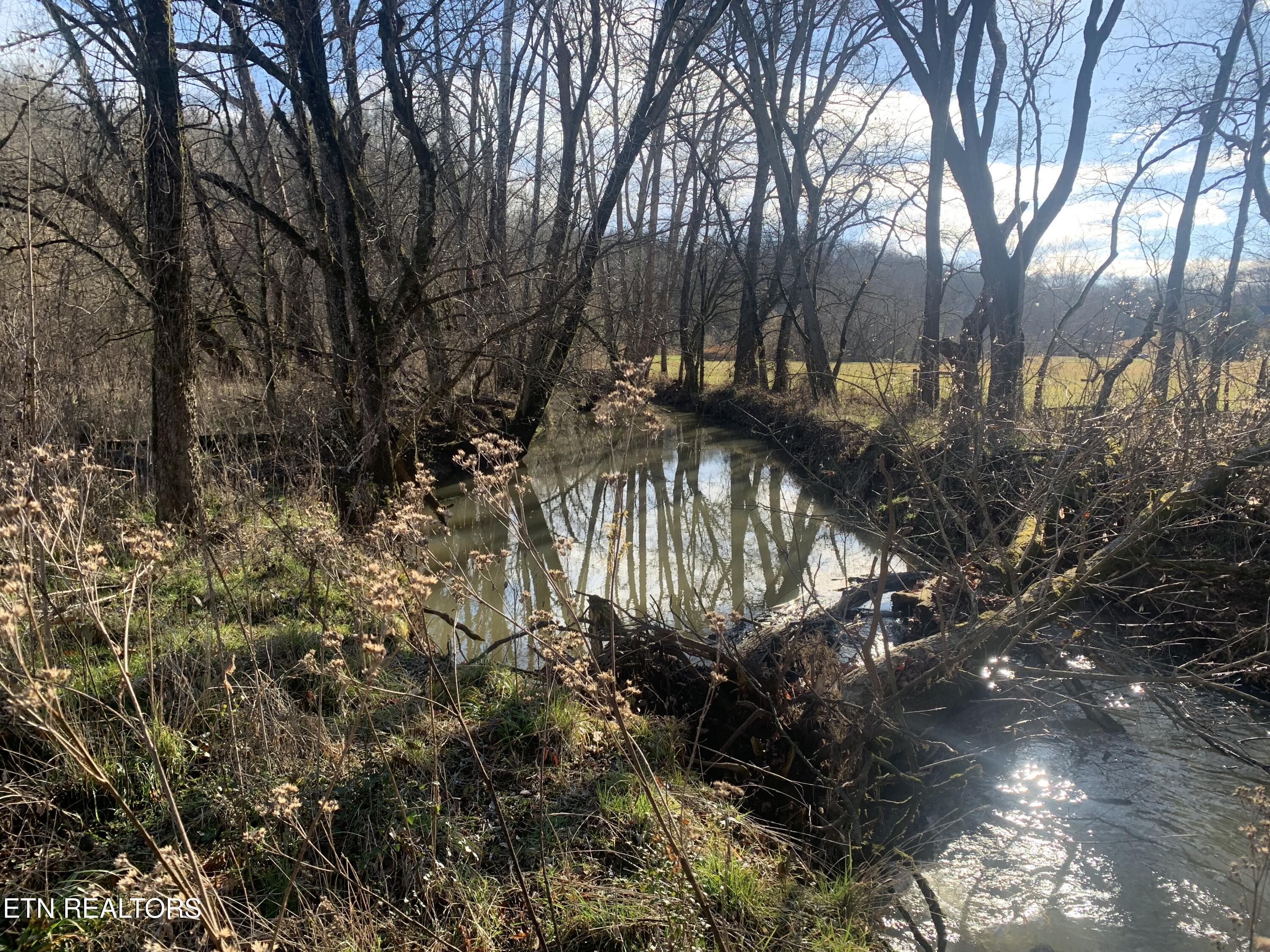 420 Winding Ridge Trail Seymour, TN 37865 - Photo 9 of 12 IMG_0821