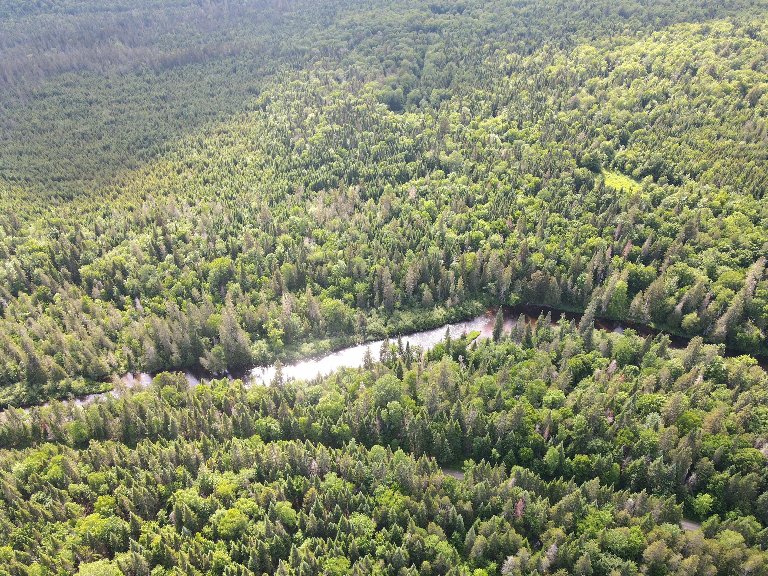 940 West Road New Sweden, ME 04762 - Photo 8 of 21 dji_fly_20240613_154706_936_171831288540