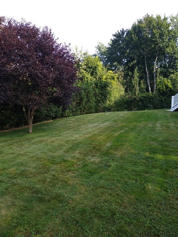12 Conger Road Worcester, MA 01602 - Photo 41 of 42 Gallery Image 41