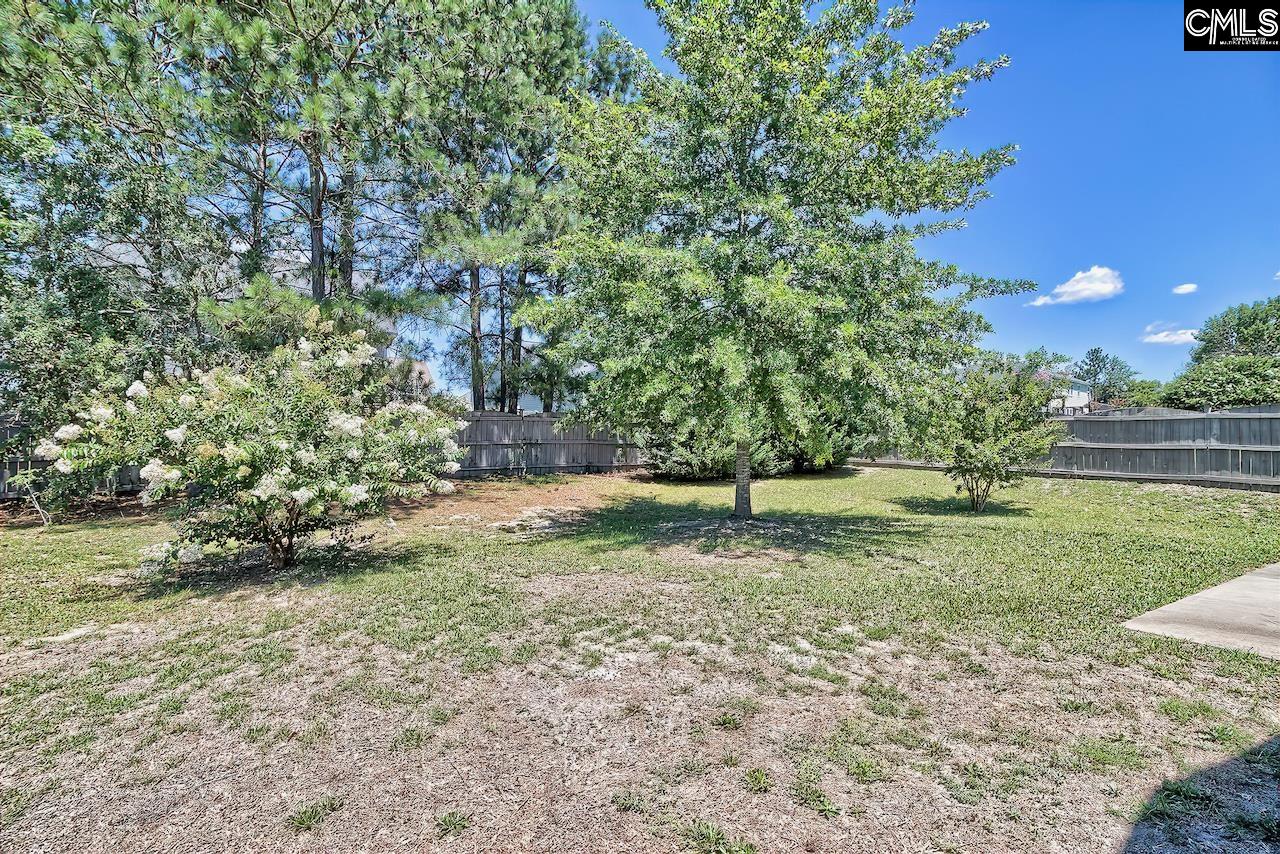 328 Baneberry Loop Lexington, SC 29073 - Photo 37 of 38
