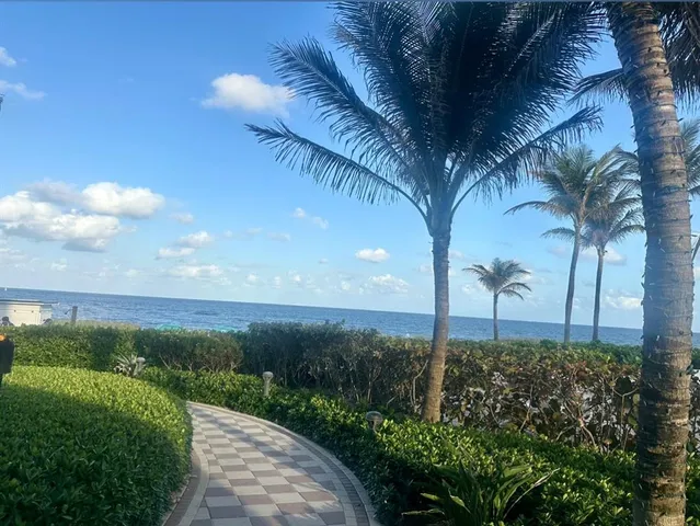 a view of a backyard