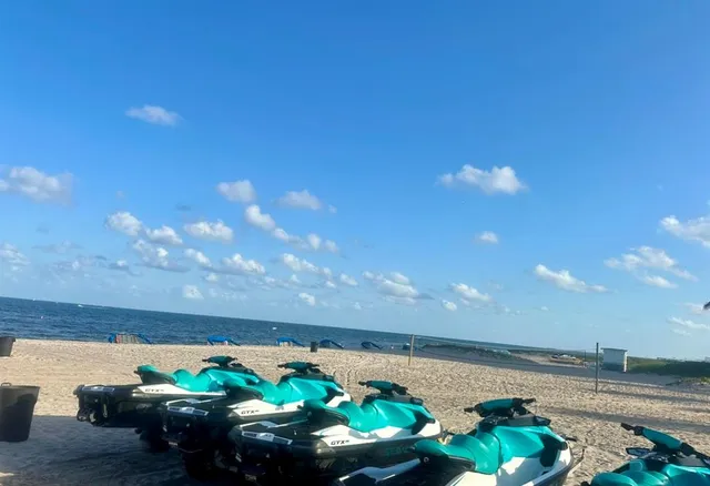 a view of a flowers in a garden