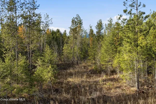 $299,000 | Lot 3 Poulton Way, Bonners Ferry, ID 83805