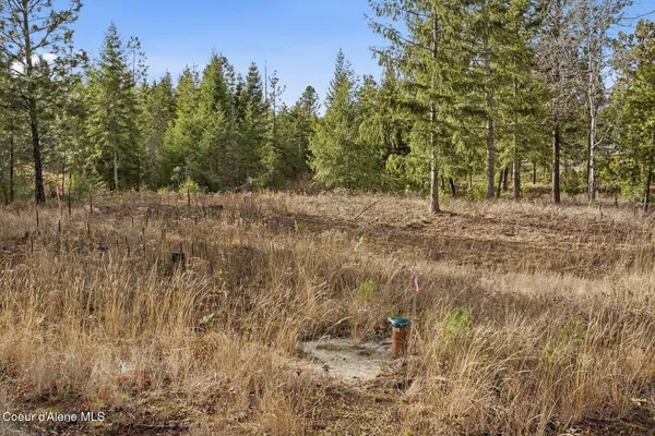 $299,000 | Lot 3 Poulton Way, Bonners Ferry, ID 83805