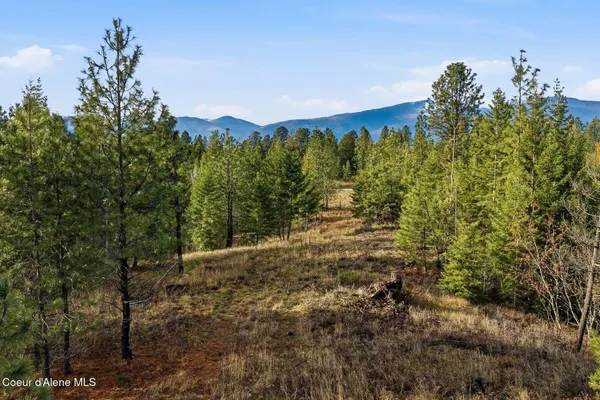 $299,000 | Lot 3 Poulton Way, Bonners Ferry, ID 83805
