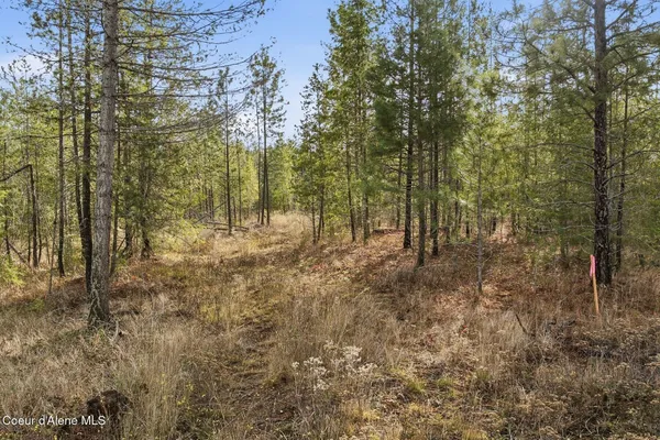 $299,000 | Lot 3 Poulton Way, Bonners Ferry, ID 83805