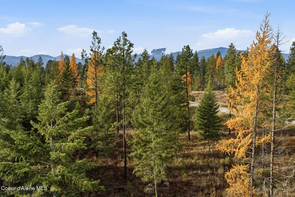 $299,000 | Lot 3 Poulton Way, Bonners Ferry, ID 83805