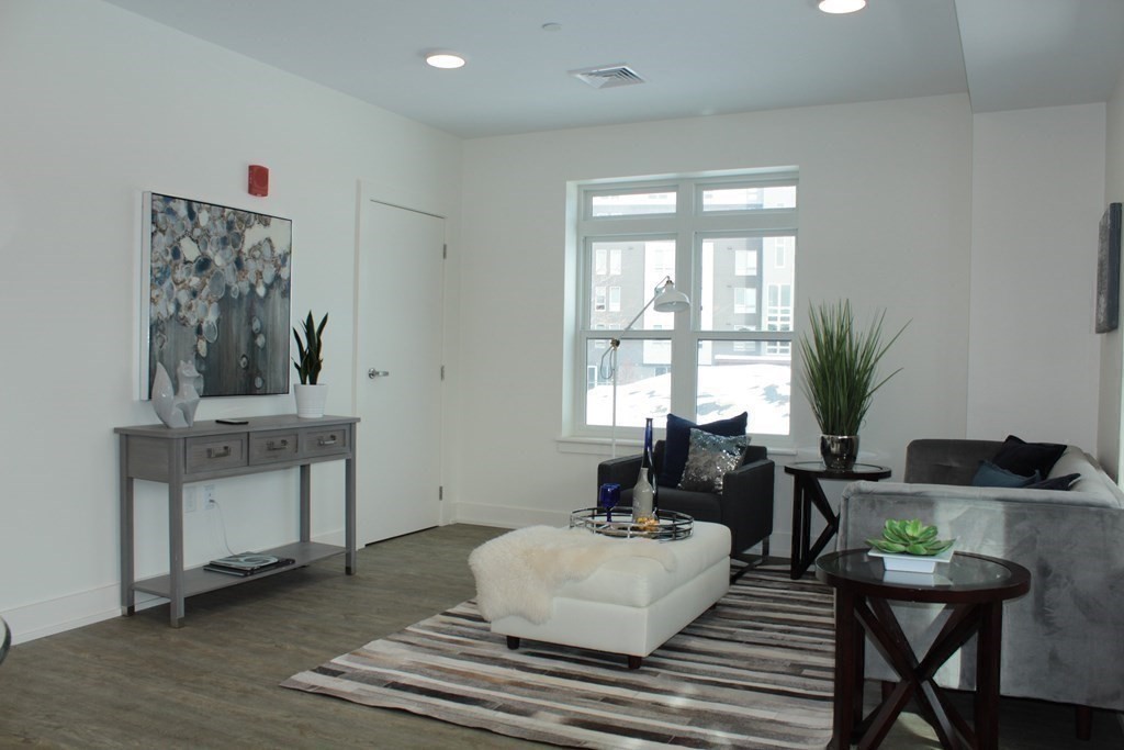 20 Penniman Road, Unit 108 Boston, MA 02134 - Photo 3 of 14 a living room with furniture a window and a potted plant