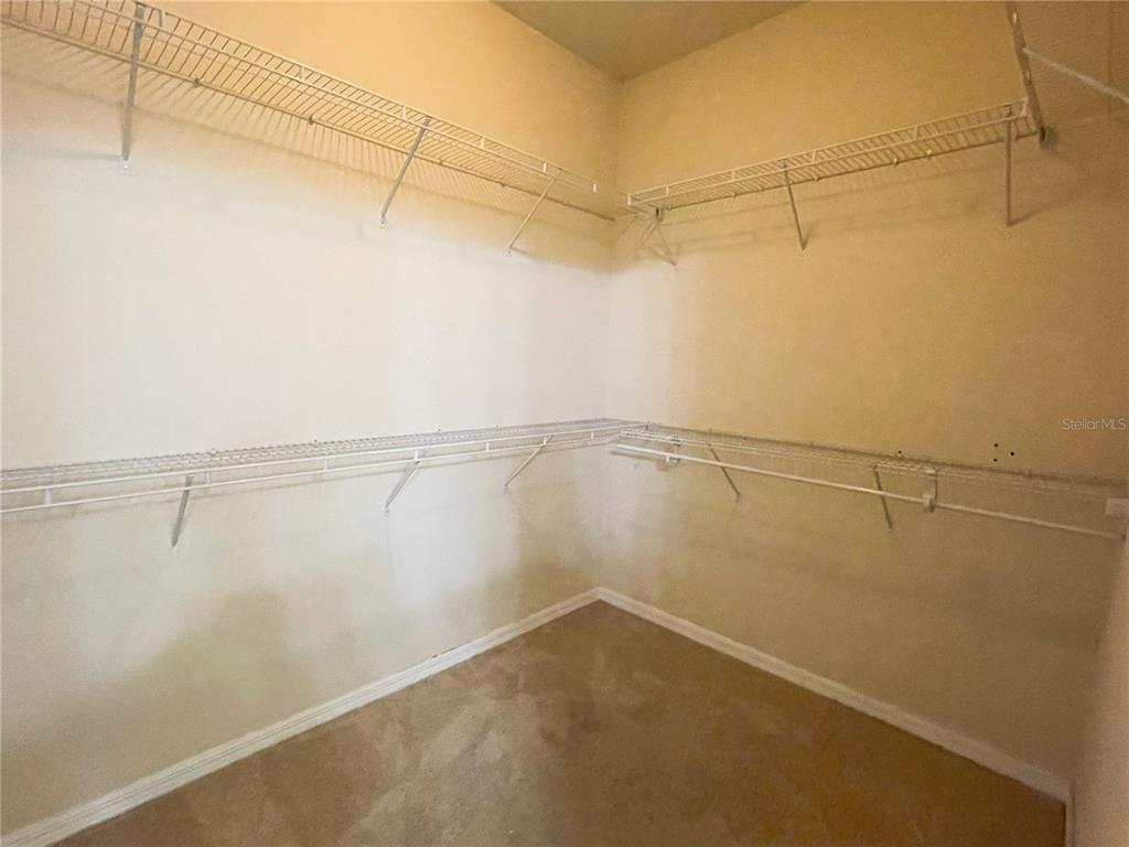 16229 Pebble Bluff Loop Winter Garden, FL 34787 - Photo 19 of 45