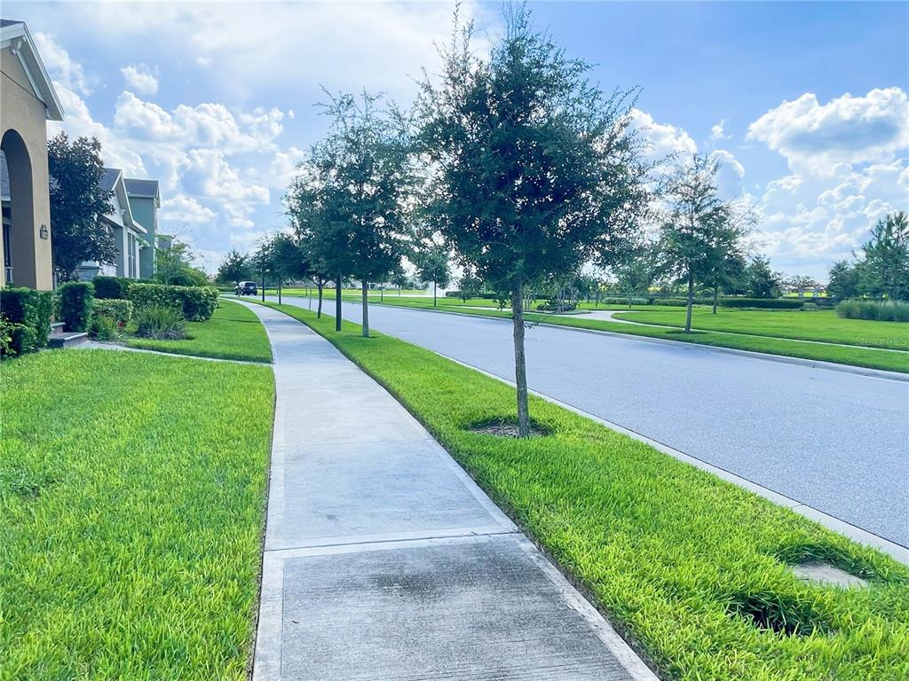 16229 Pebble Bluff Loop Winter Garden, FL 34787 - Photo 27 of 45