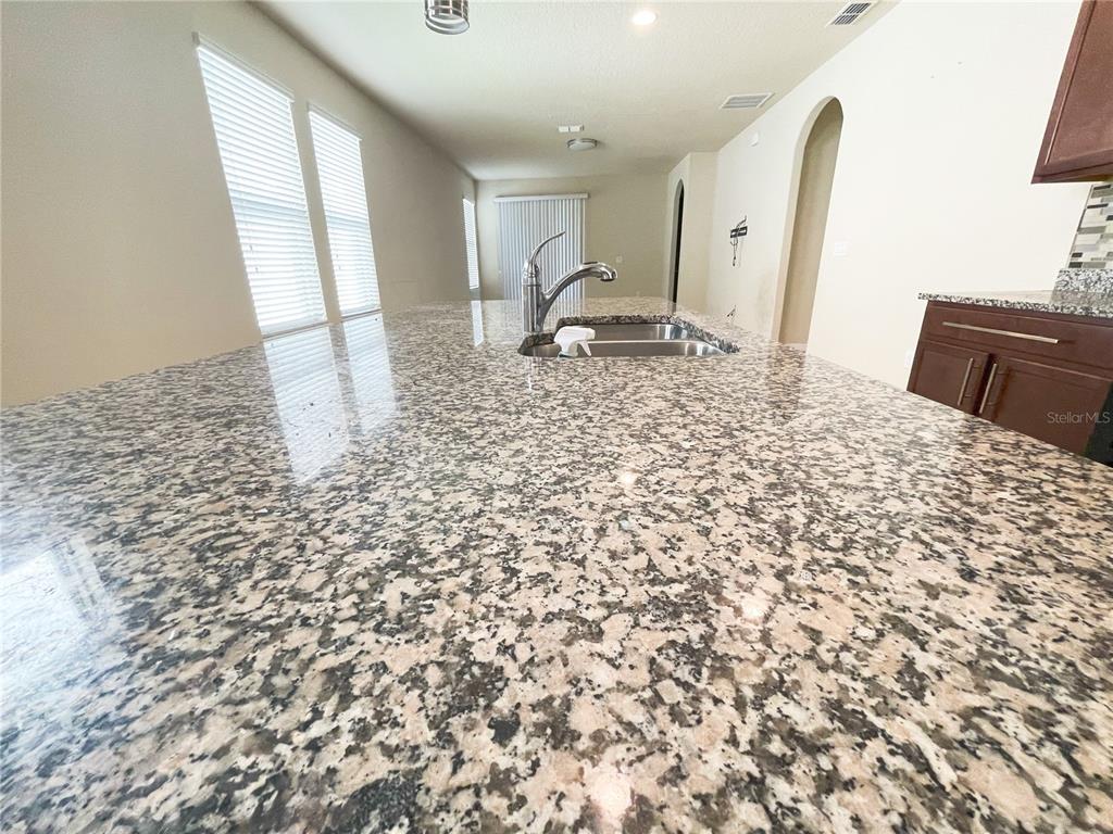 16229 Pebble Bluff Loop Winter Garden, FL 34787 - Photo 3 of 45
