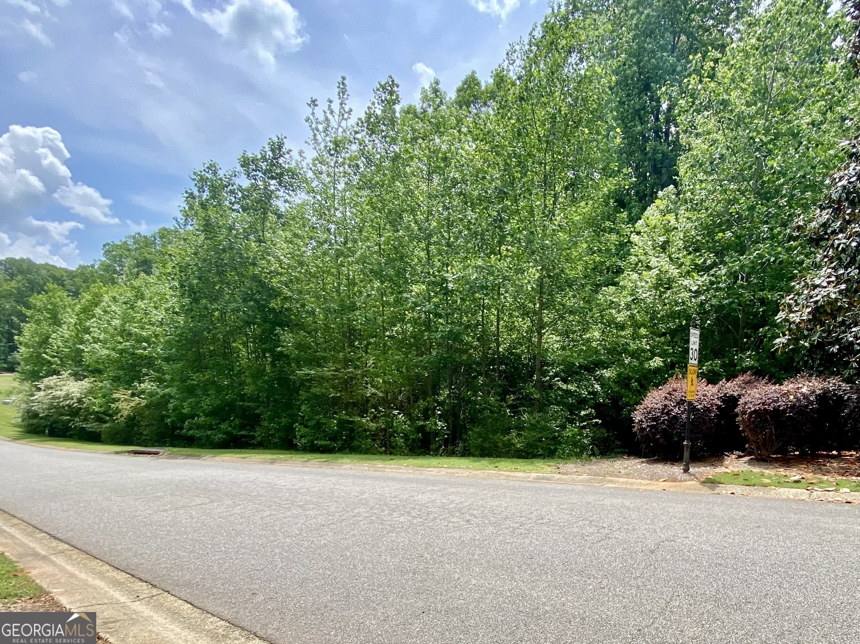 1010 Bridlegate Drive, Unit 25 Watkinsville, GA 30677 - Photo 4 of 9