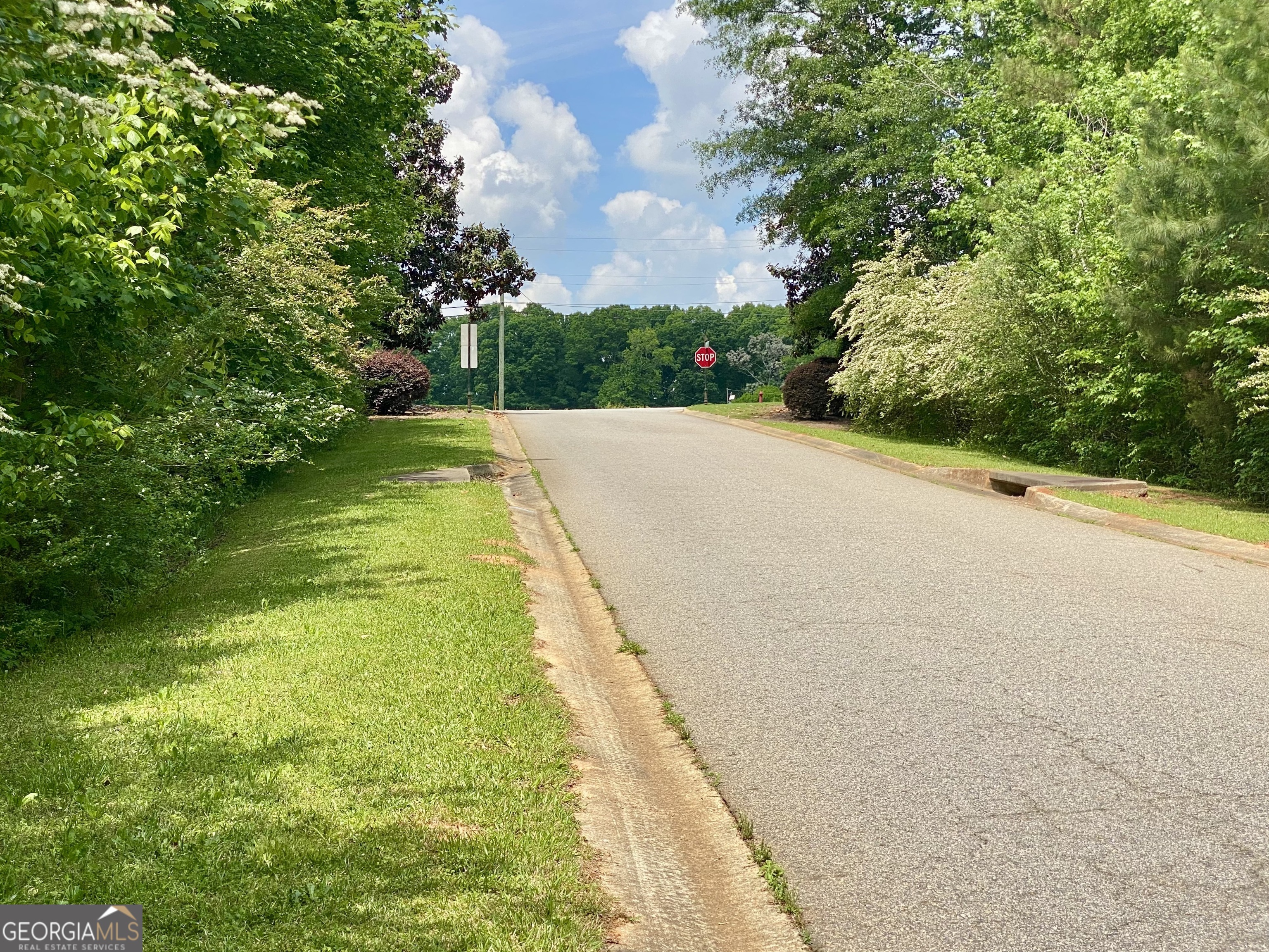 1010 Bridlegate Drive, Unit 25 Watkinsville, GA 30677 - Photo 5 of 9