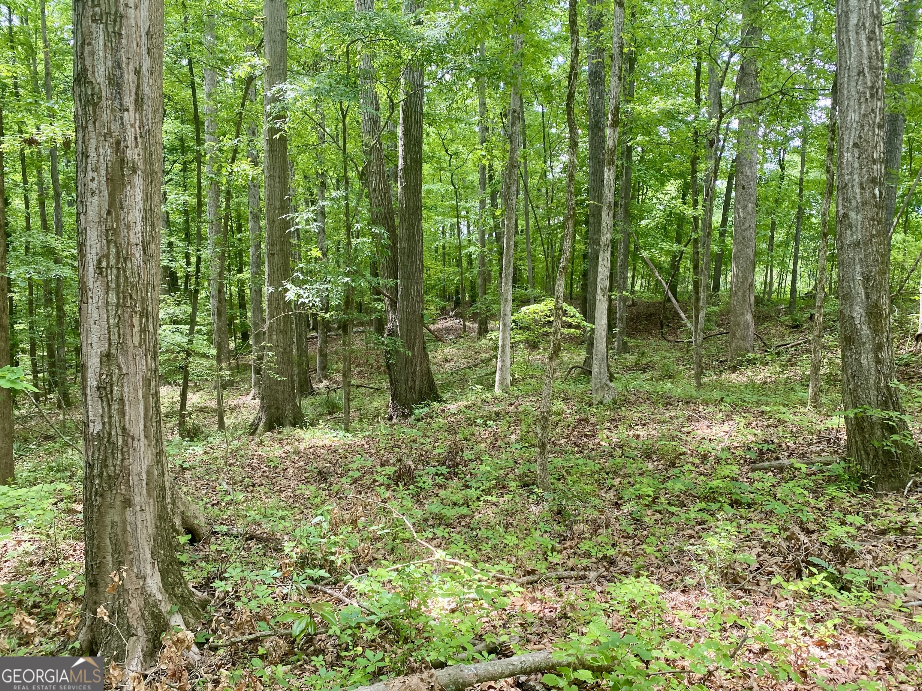 1010 Bridlegate Drive, Unit 25 Watkinsville, GA 30677 - Photo 6 of 9