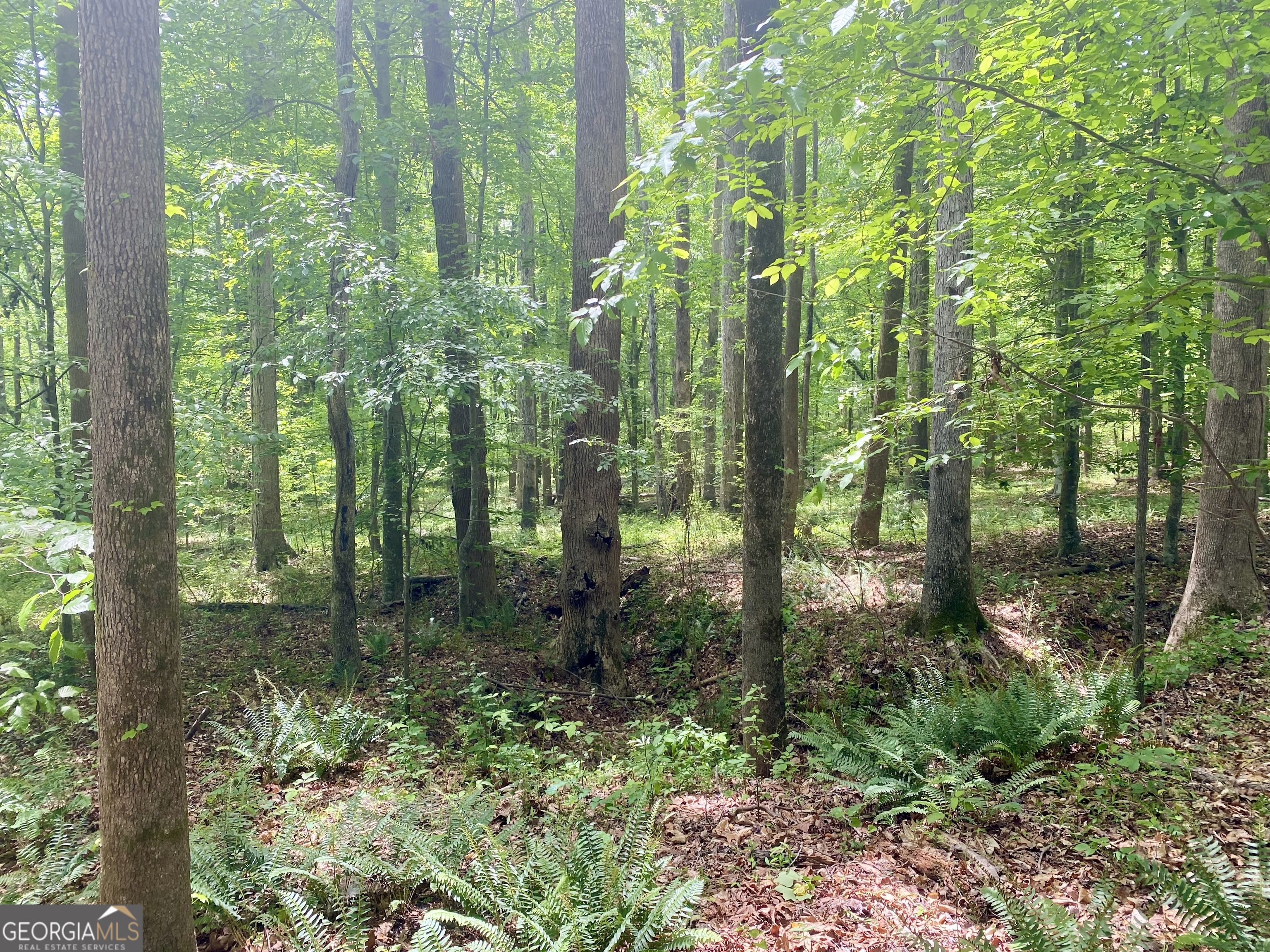 1010 Bridlegate Drive, Unit 25 Watkinsville, GA 30677 - Photo 7 of 9