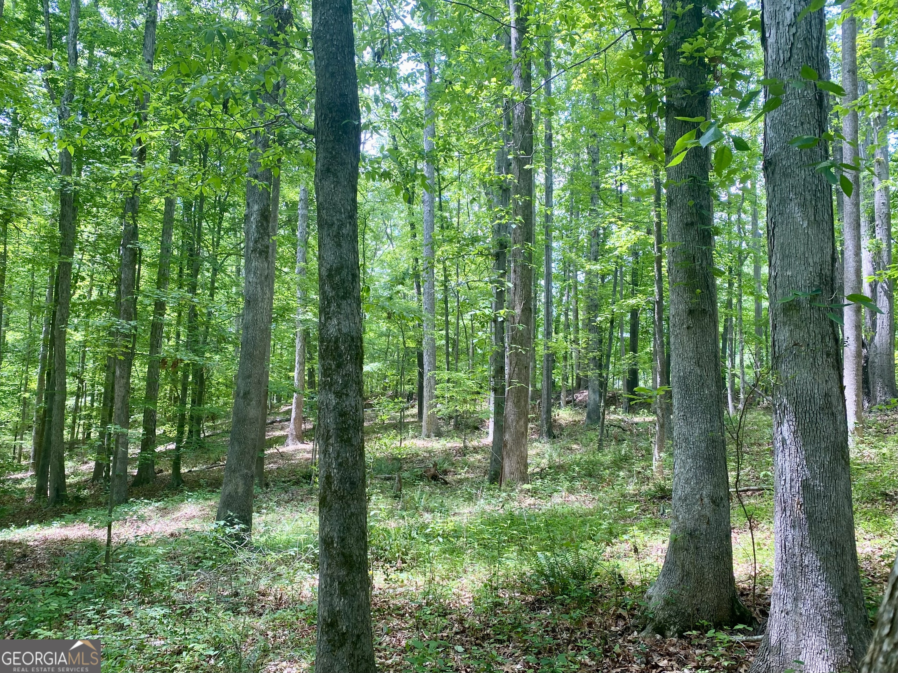 1010 Bridlegate Drive, Unit 25 Watkinsville, GA 30677 - Photo 8 of 9