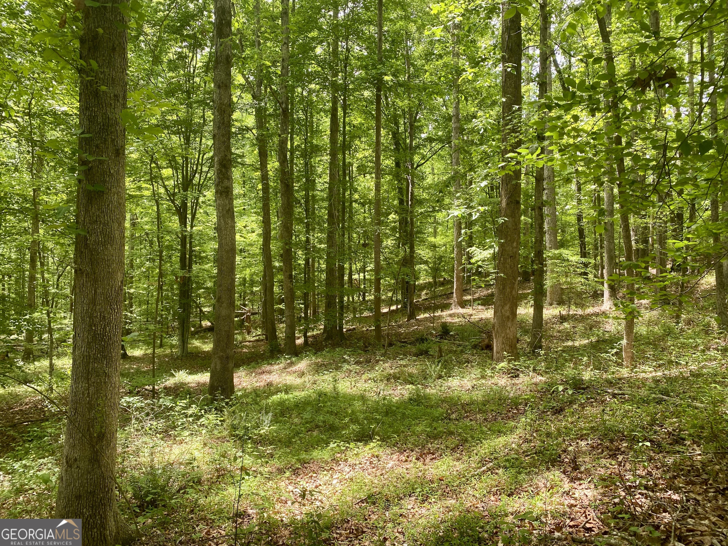 1010 Bridlegate Drive, Unit 25 Watkinsville, GA 30677 - Photo 9 of 9