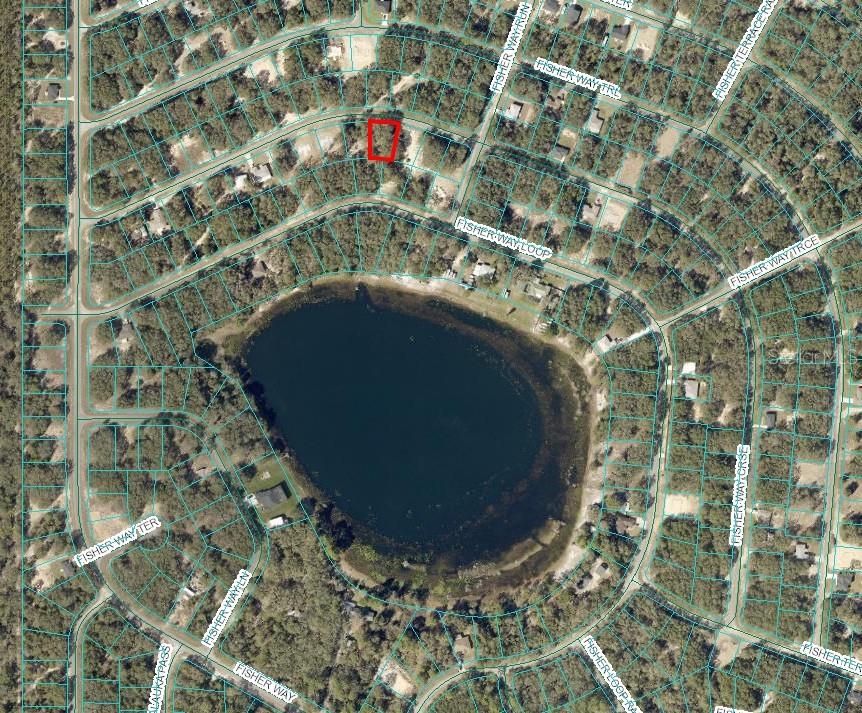 Fisher Way Course Ocklawaha, FL 32179 - Photo 2 of 3 a close up of a sink