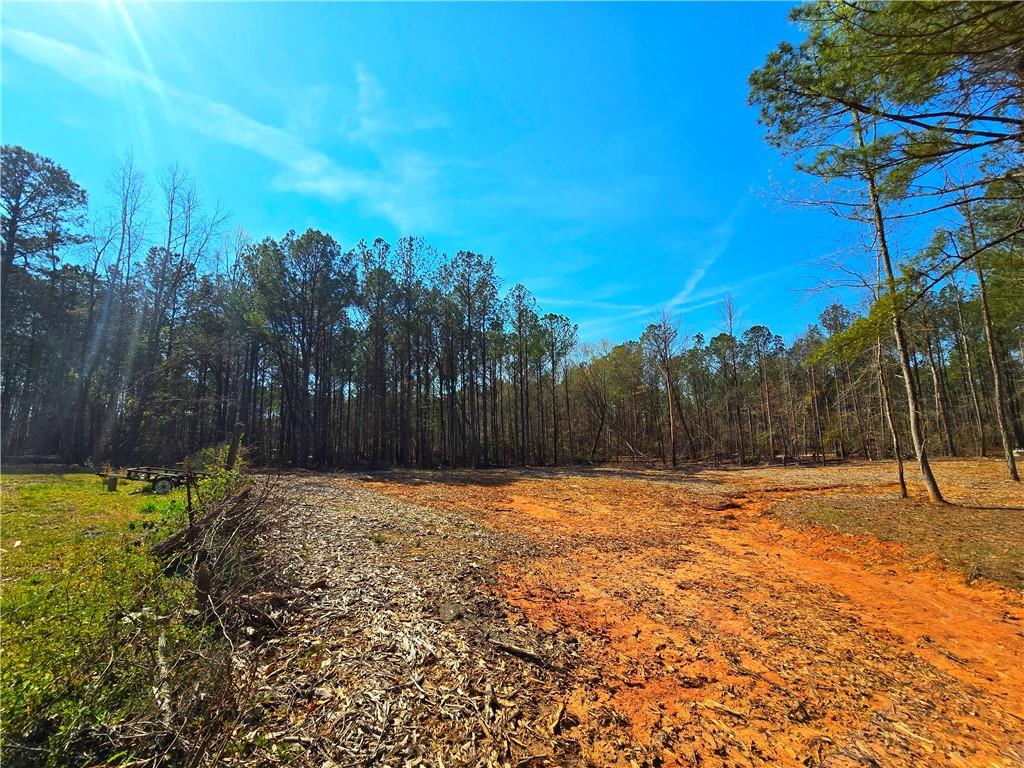 2001 Rocky Creek Road Mansfield, GA 30055 - Photo 18 of 60