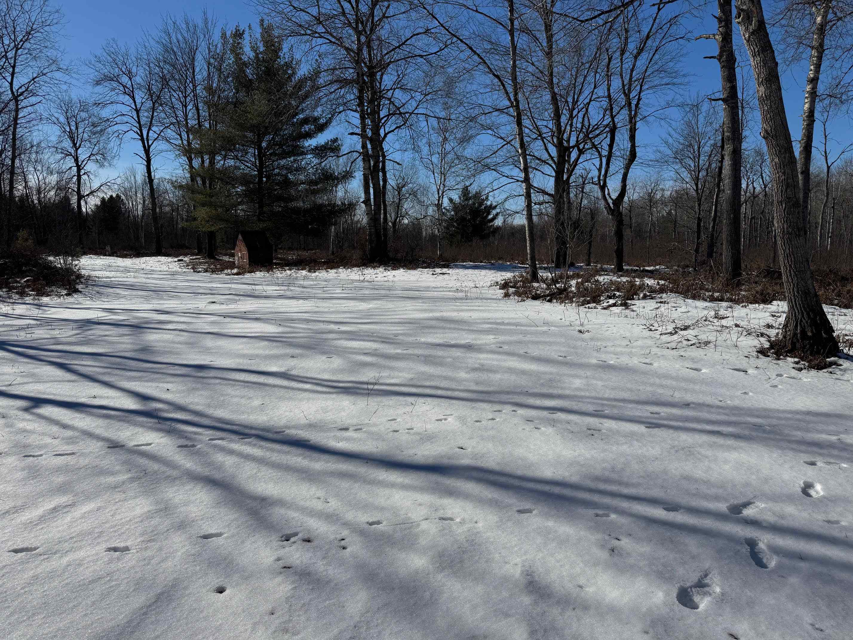 Tbd Hook Road Alger, MI 48610 - Photo 4 of 21