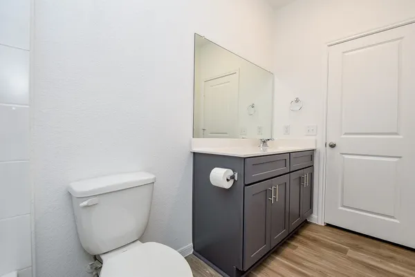 a bathroom with a toilet a sink and mirror