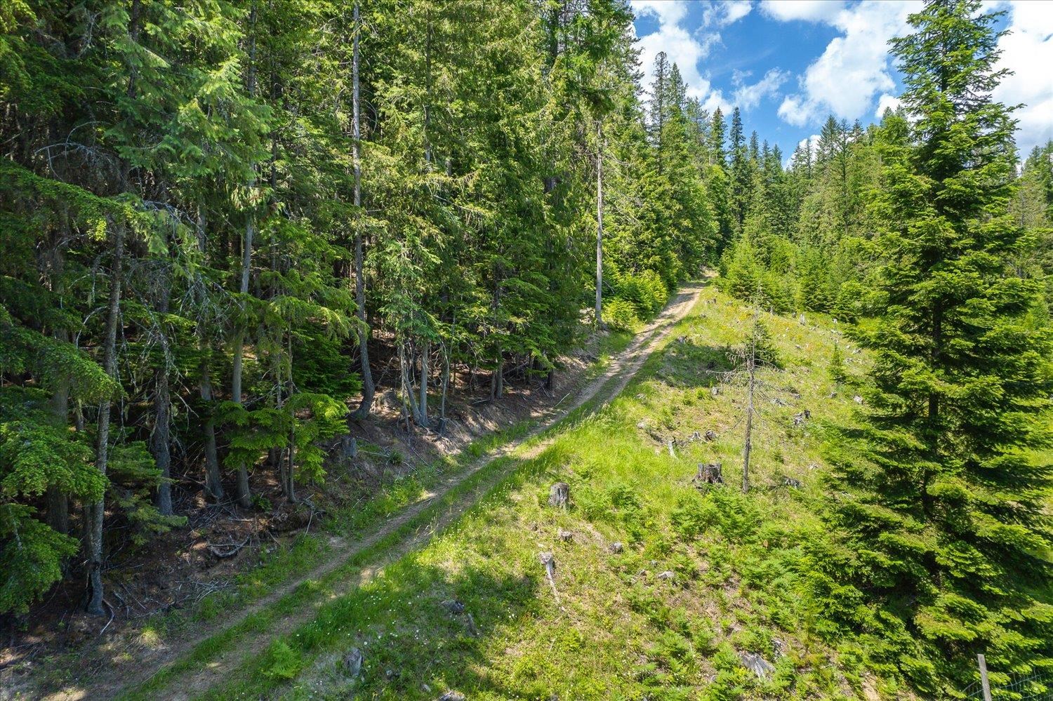 421 Stecker Road, Unit 421 STECKER RD Ione, WA 99139 - Photo 31 of 47