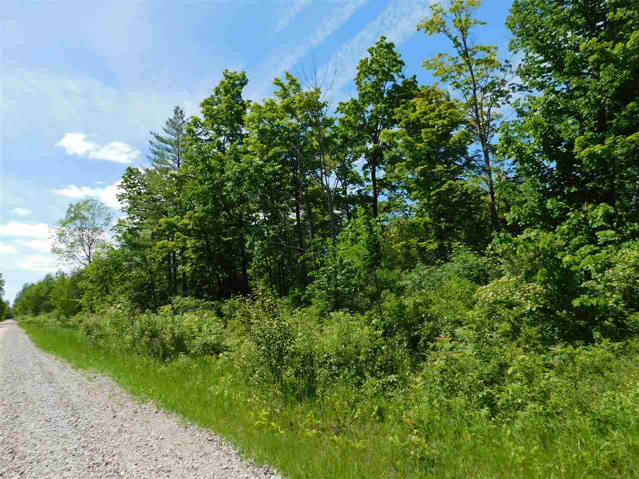 7136 West Dyer Road Whittemore, MI 48770 - Photo 17 of 17 1862997-17.JPG
