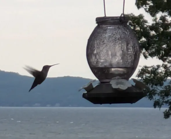 $499,000 | 53 Northshore Drive, Burlington, VT 05408