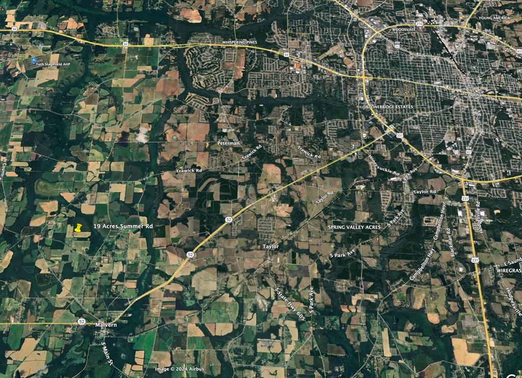 19-acres Summer Road Slocomb, AL 36375 - Photo 20 of 22