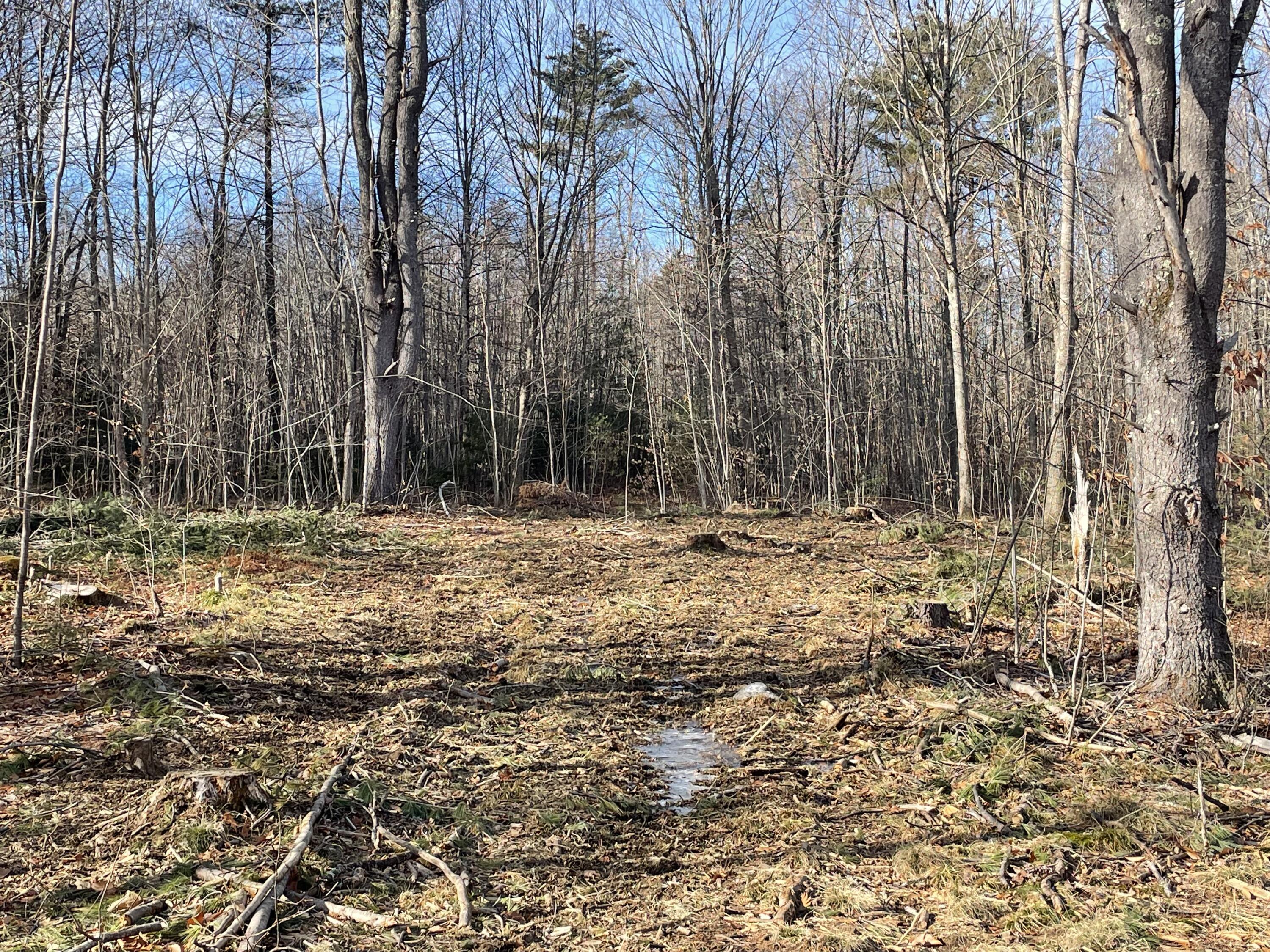 Lot 12-1 Maplewood Road Parsonsfield, ME 04047 - Photo 4 of 14 Lot 12-1 Maplewood Rd