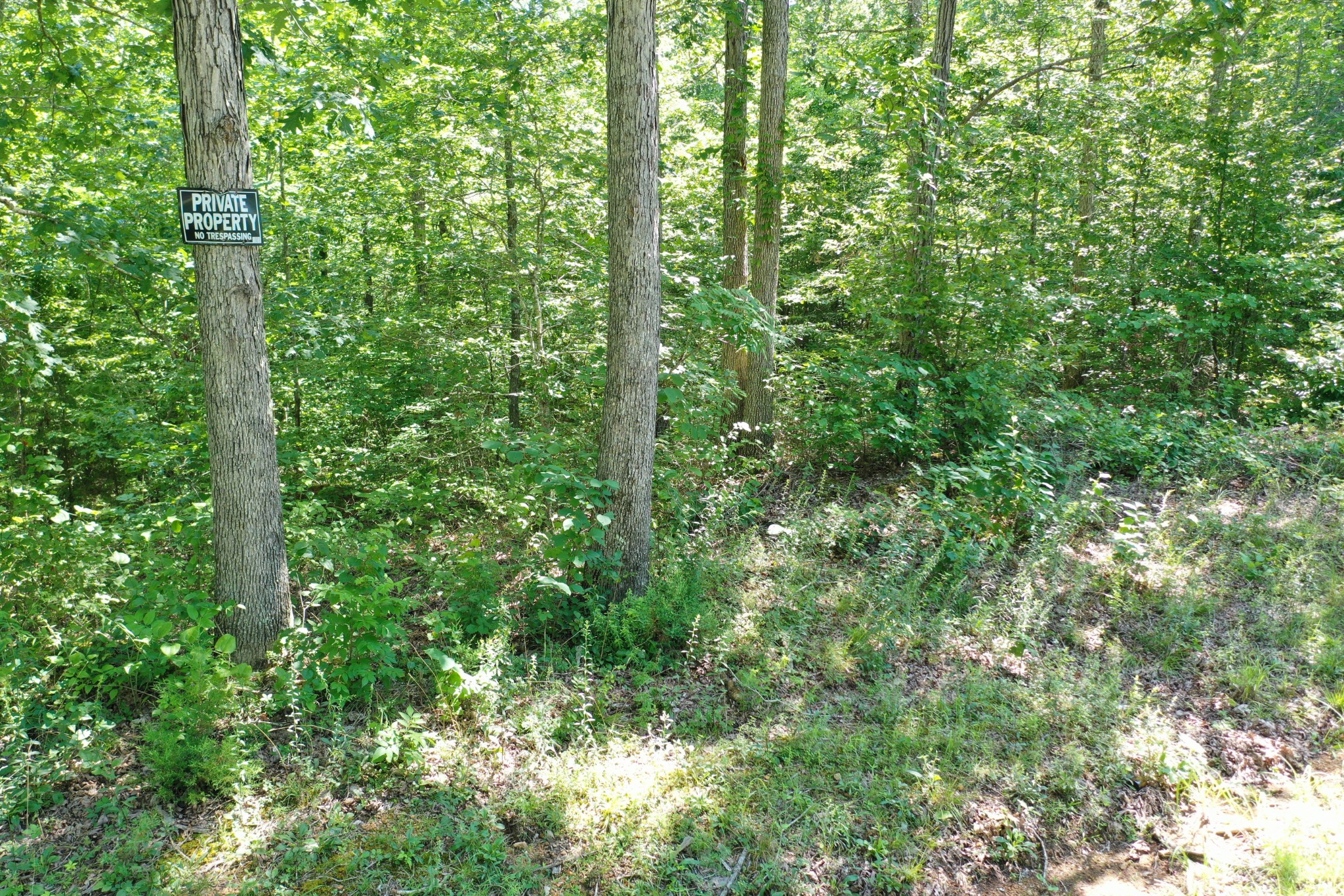 1921 Mcgee Road Linden, TN 37096 - Photo 6 of 7 Gallery Image 6