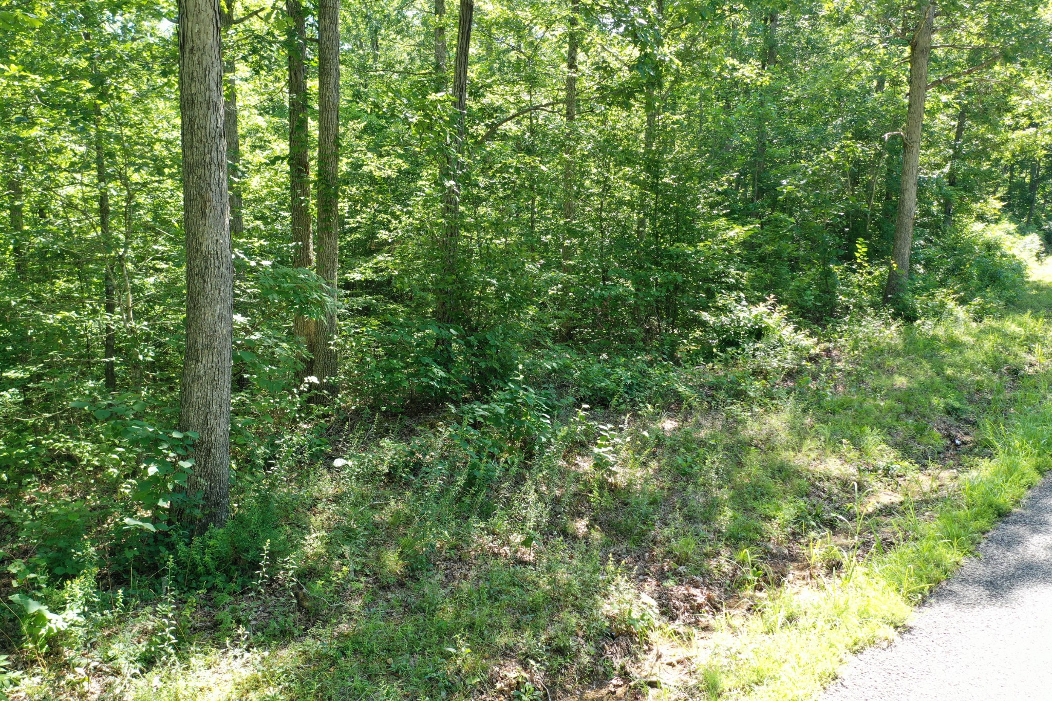 1921 Mcgee Road Linden, TN 37096 - Photo 7 of 7 Gallery Image 7