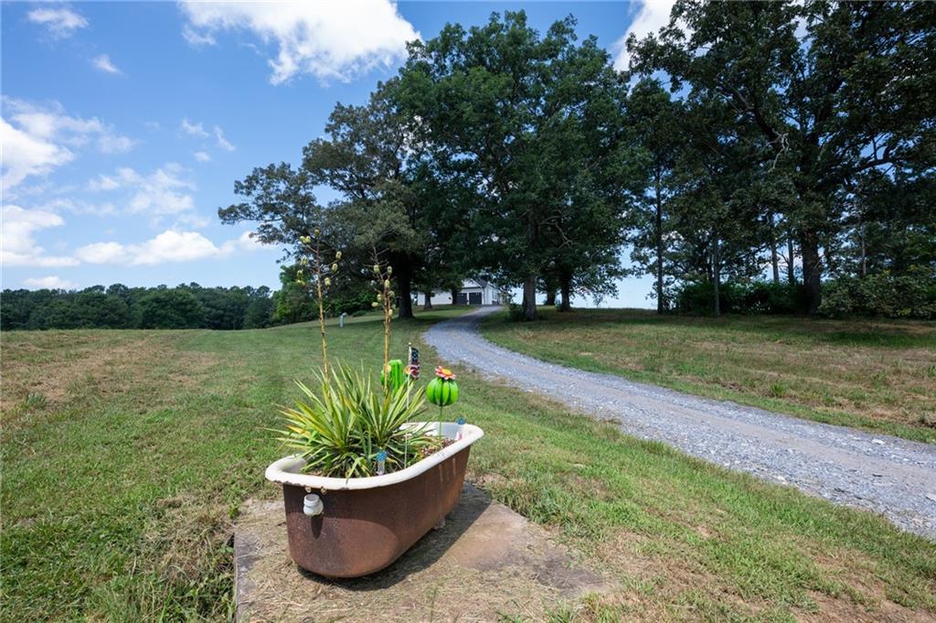 455 Poarch Farm Road Northeast Ranger, GA 30734 - Photo 87 of 93