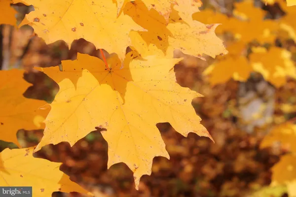 $84,900 | Lot C Auburn Mill Road, Warrenton, VA 20187