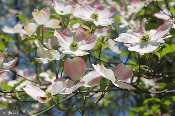 $84,900 | Lot C Auburn Mill Road, Warrenton, VA 20187