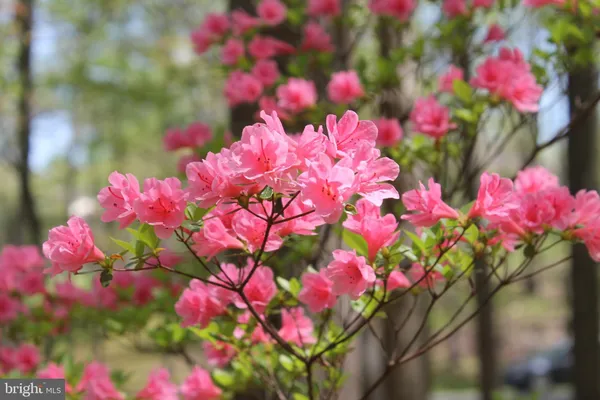 $84,900 | Lot C Auburn Mill Road, Warrenton, VA 20187