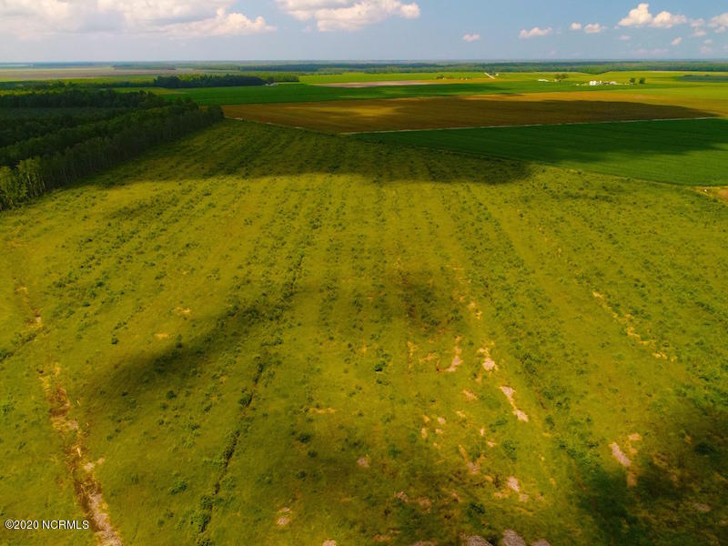 0 South Gum Neck Road Columbia, NC 27925 - Photo 13 of 22 DJI_0052