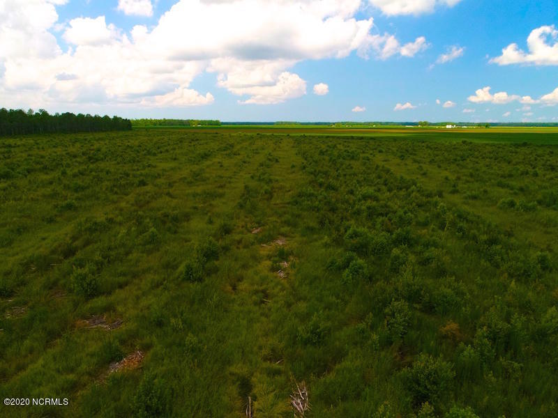 0 South Gum Neck Road Columbia, NC 27925 - Photo 16 of 22 DJI_0060