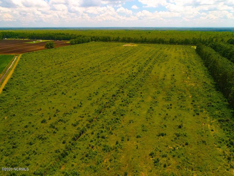 0 South Gum Neck Road Columbia, NC 27925 - Photo 9 of 22 DJI_0041