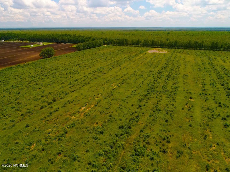 0 South Gum Neck Road Columbia, NC 27925 - Photo 10 of 22 DJI_0043