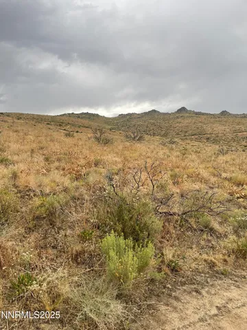 a view of wooden floor