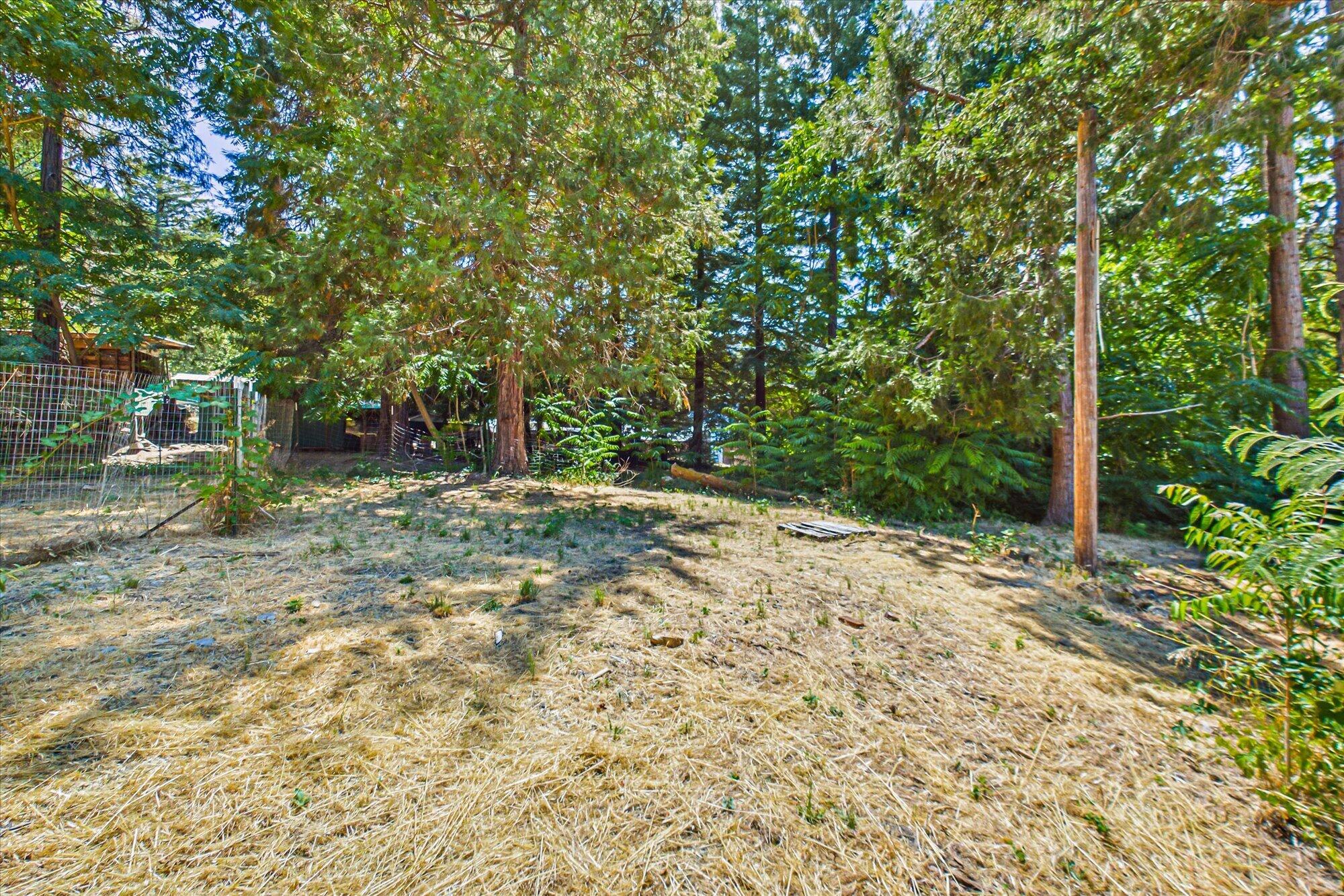 1948 Patterson Road Willow Creek, CA 95573 - Photo 41 of 47 Gallery Image 41