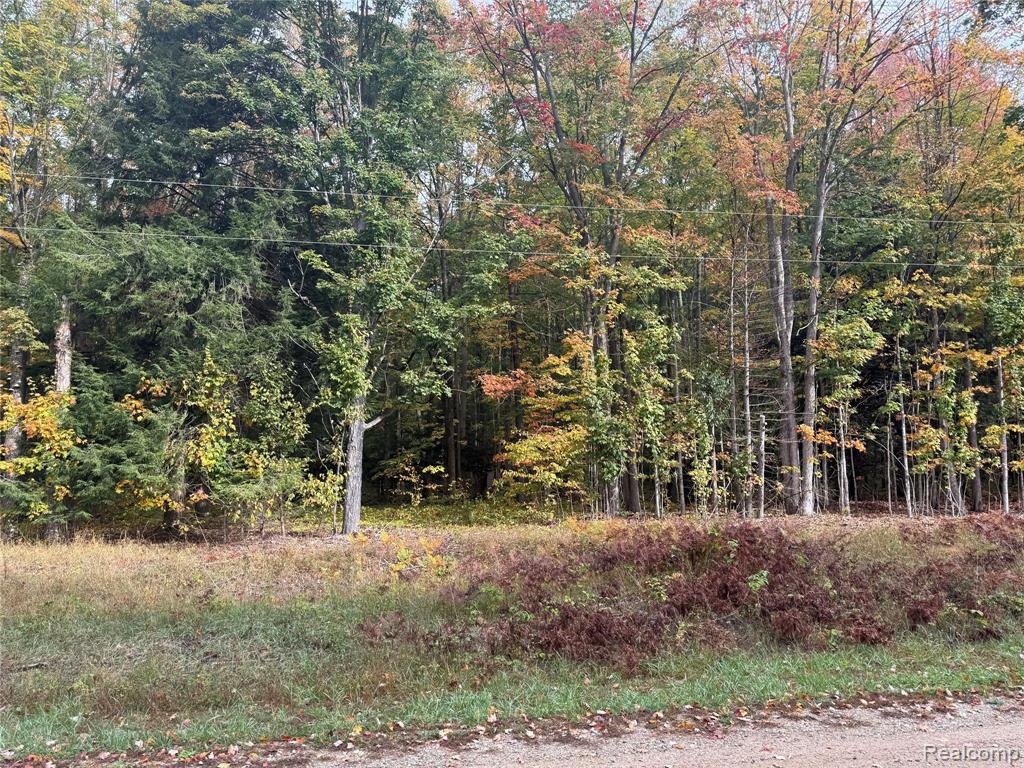 207 Wallace Road Northeast Alden, MI 49612 - Photo 2 of 7