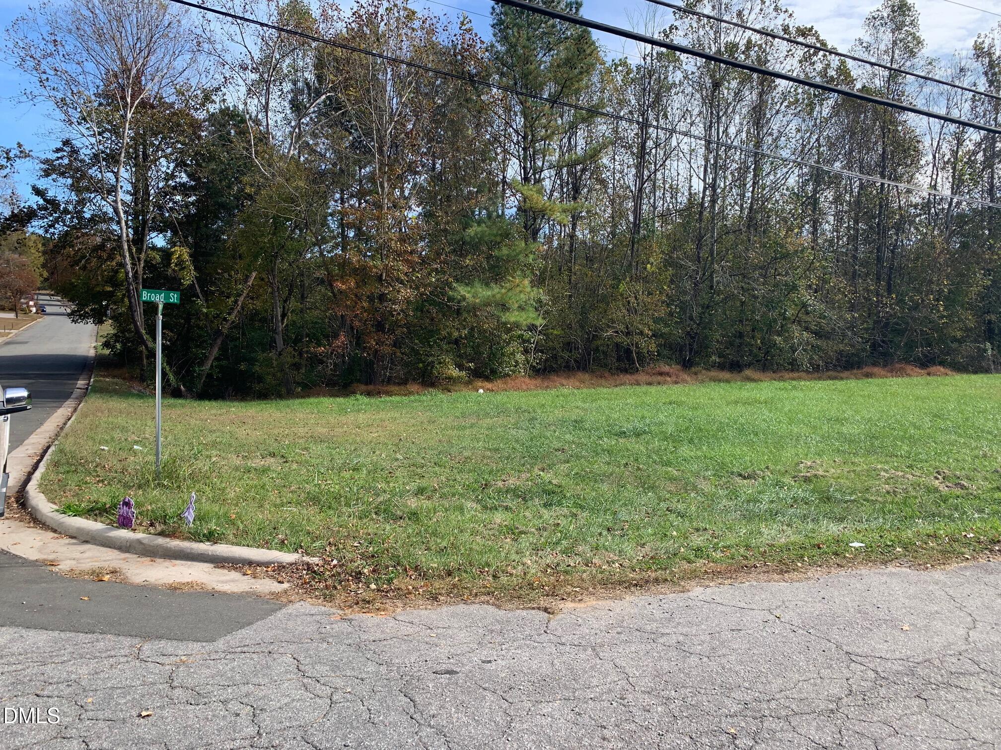 0 Broad Street Roxboro, NC 27573 - Photo 1 of 8 a view of a field with trees in background