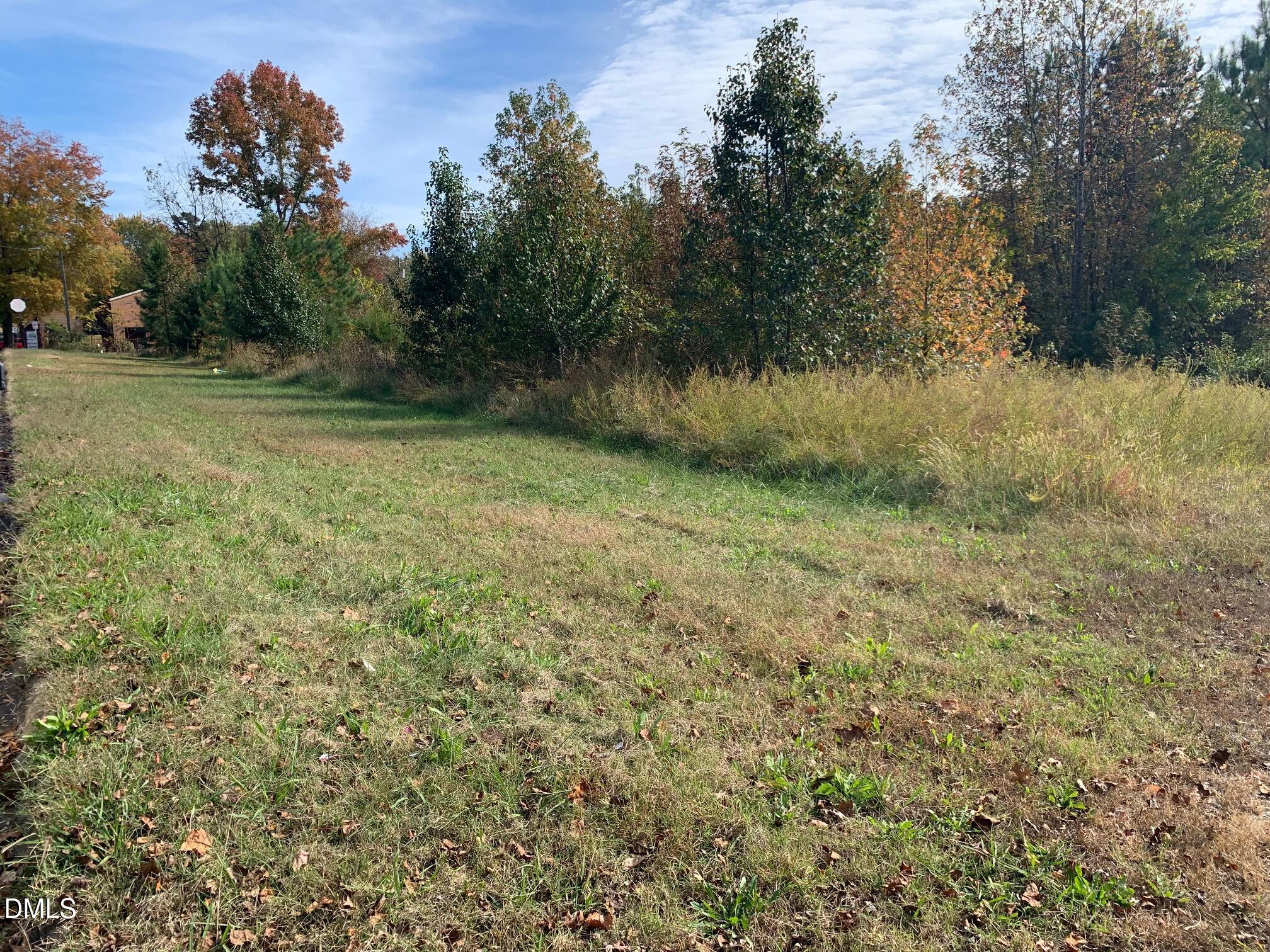 0 Broad Street Roxboro, NC 27573 - Photo 5 of 8 a view of a yard with a tree