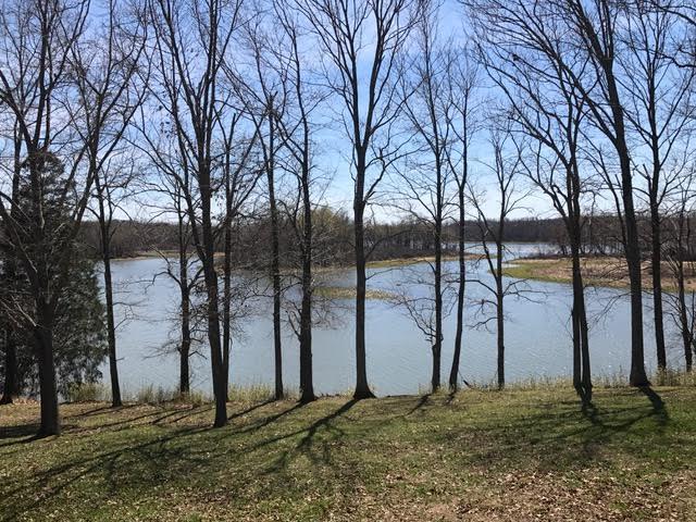 159 Cedar Point Road Bumpus Mills, TN 37028 - Photo 8 of 11 Gallery Image 8