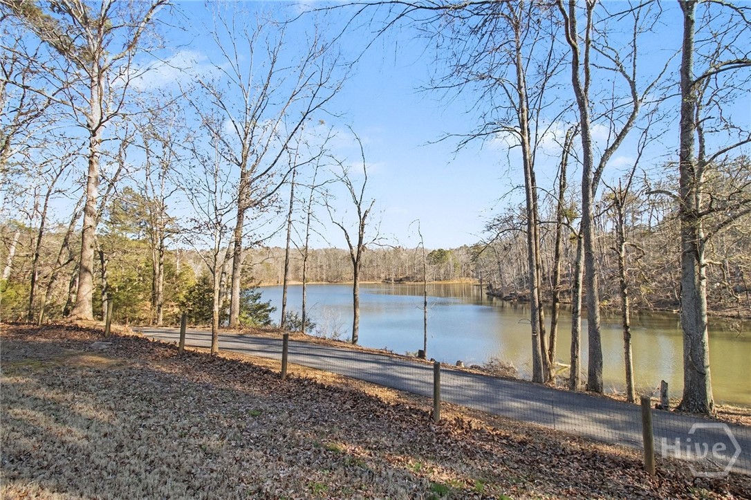 1051 Lake Rutledge Road Rutledge, GA 30663 - Photo 58 of 61