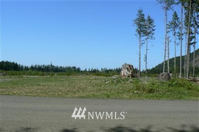393 Elk Valley Road Forks, WA 98331 - Photo 1 of 1 Gallery Image 1