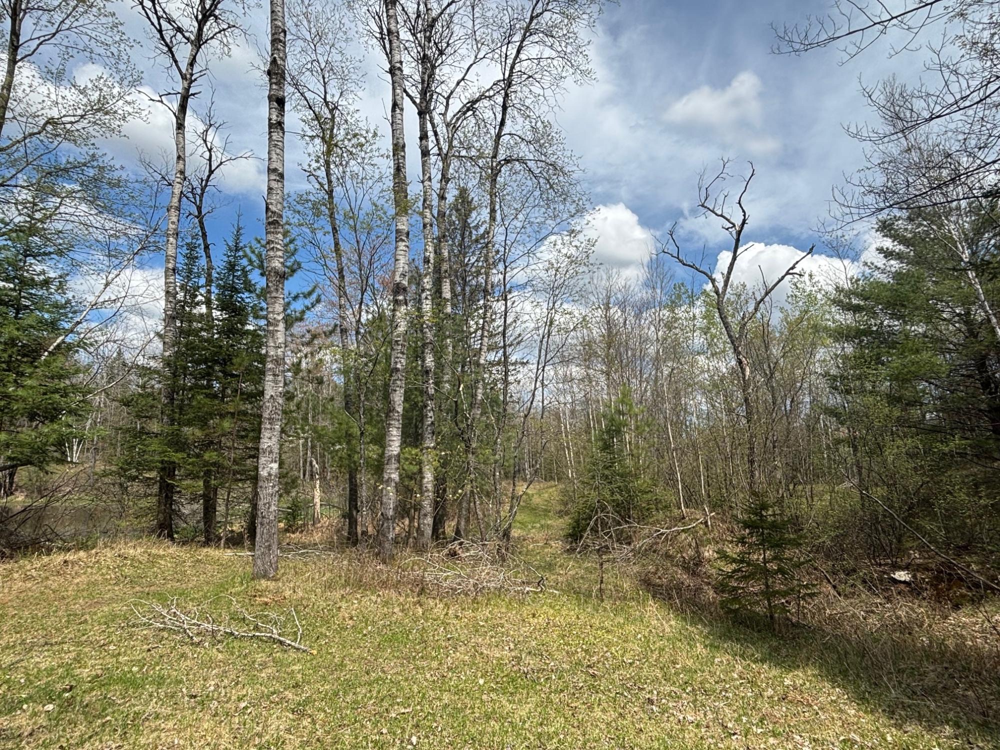 14005 Riverside Road Lakewood, WI 54138 - Photo 60 of 65 Gallery Image 60